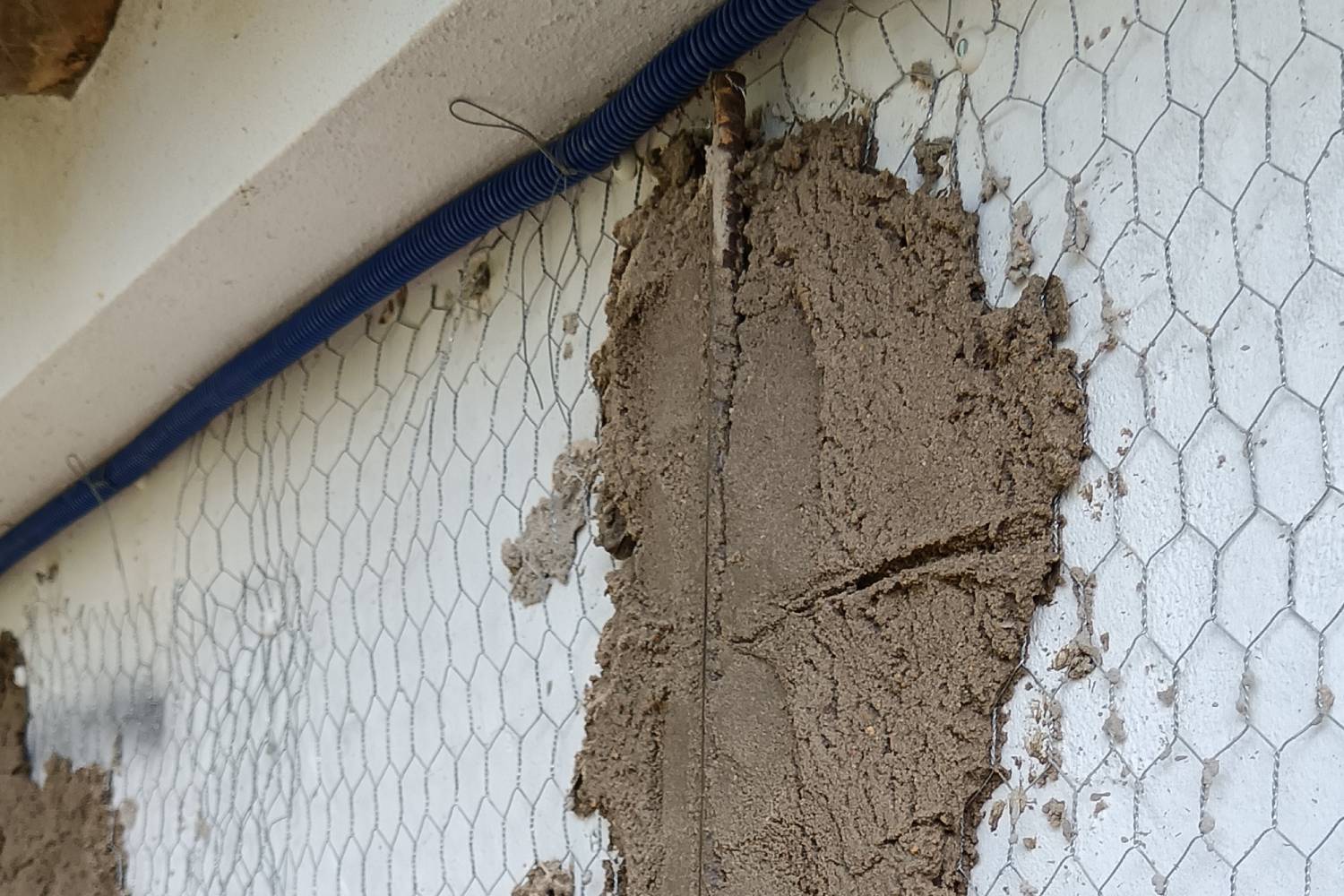 imagem reparacao da fachada da moradia situada em guia 03